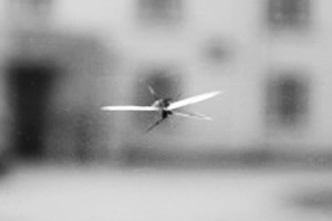 Скол автостекла типа "Звезда"